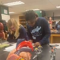 Students in Anatomy and Physiology